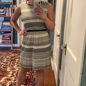 Ann Taylor loft shift dress